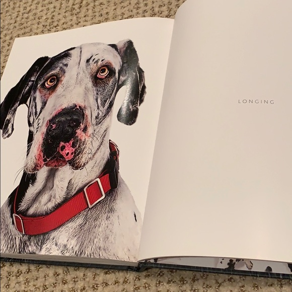 Coffee table book. Dog days. Hardcover. - Picture 4 of 4